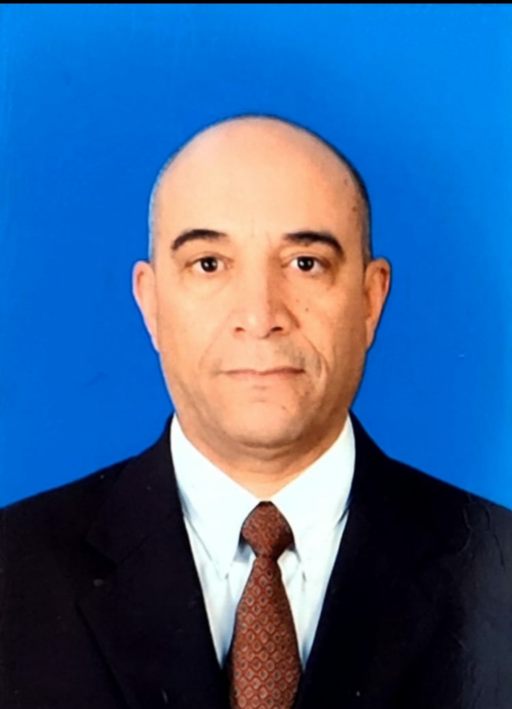رئيس اللجنة العلمية