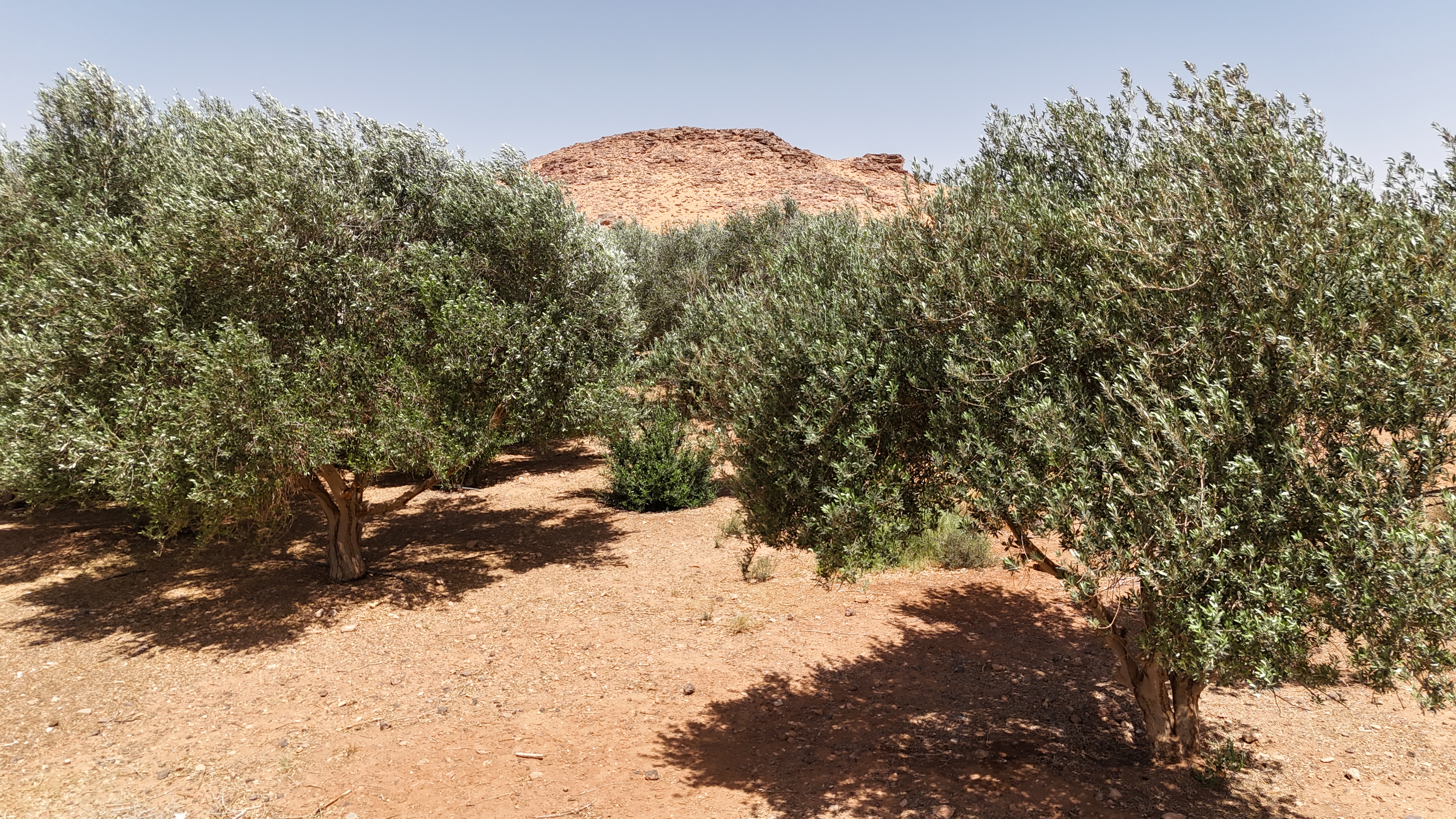 صورة المعرض 19
