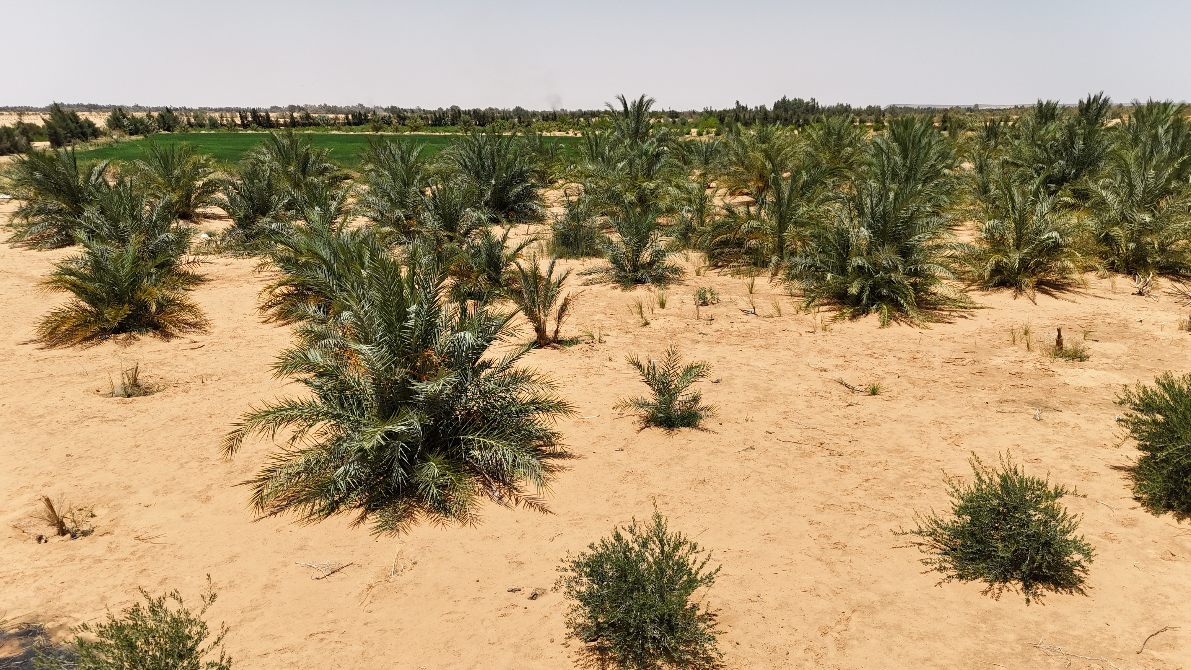 صورة المعرض 24