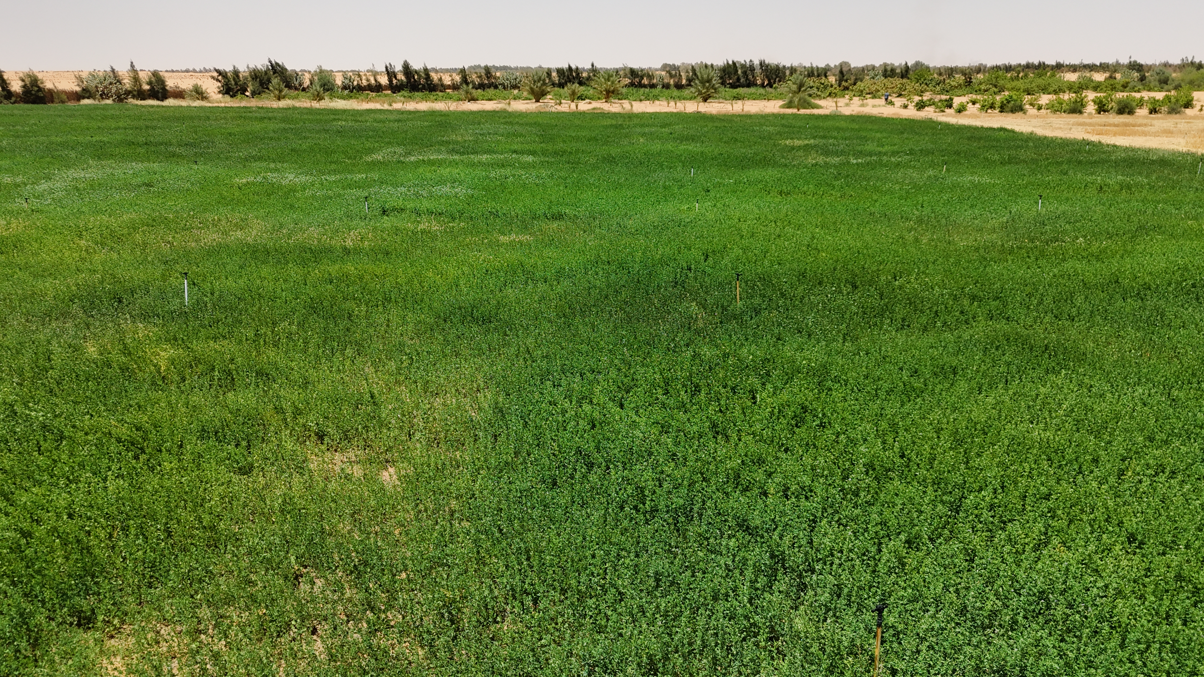 صورة المعرض 26