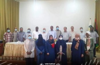 فريق المدققين الاسترشادي