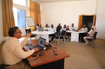 فوائد شجرة الجاتروفا الاقتصادية والبيئية وعلاقتها بنواتج الكربون