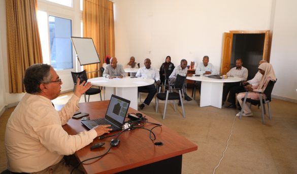 - جامعة سبها | Sebha University فوائد شجرة الجاتروفا الاقتصادية والبيئية وعلاقتها بنواتج الكربون