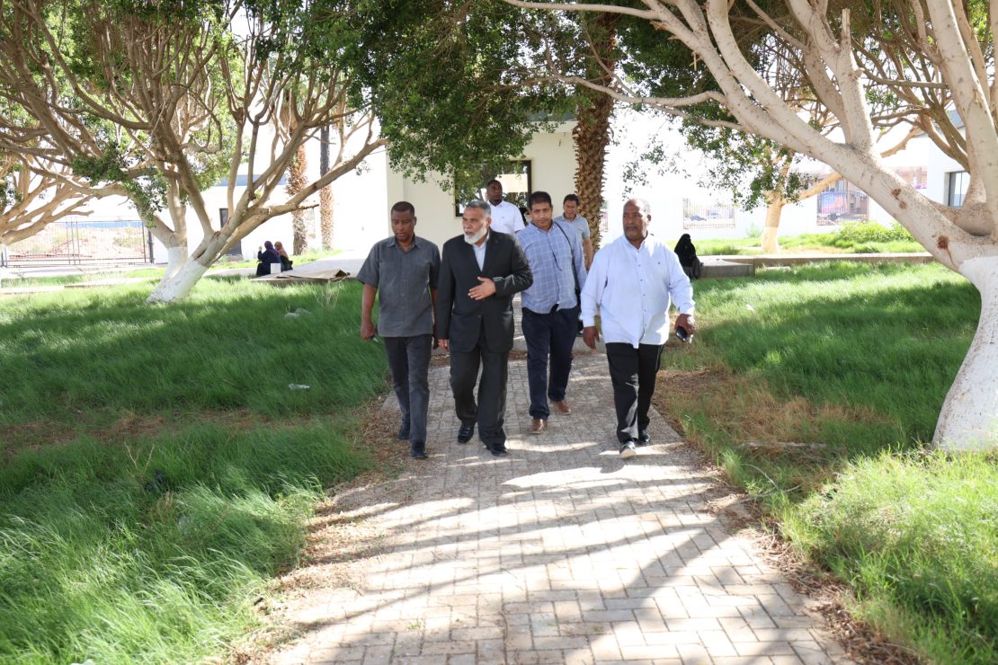Group of men walking along a brick path under large trees in a sunny park setting.