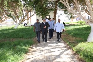 Group of men walking along a brick path under large trees in a sunny park setting.