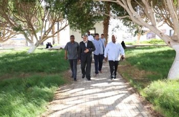 Group of men walking along a brick path under large trees in a sunny park setting.